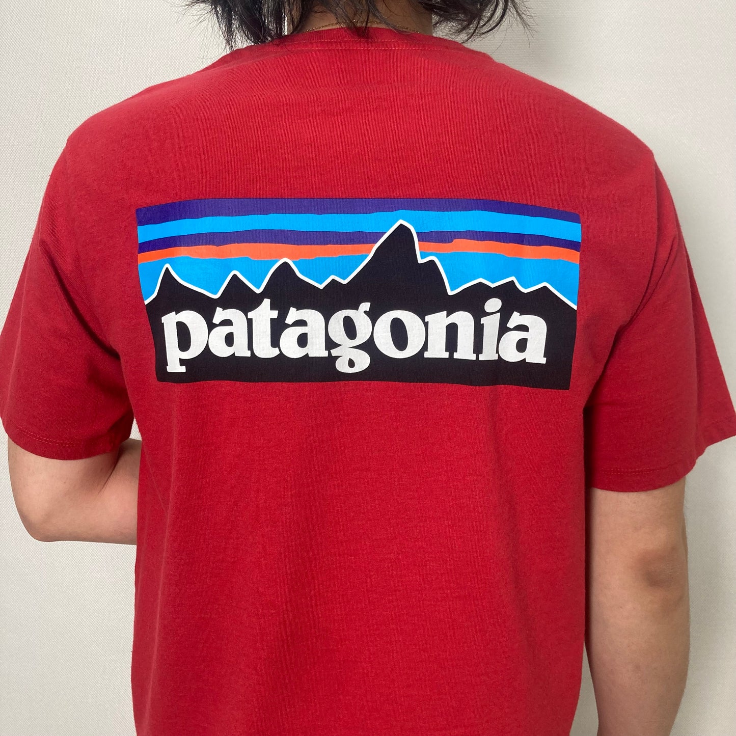 patagonia//P-6ロゴ・レスポンシビリティーTシャツ【ユニセックス】